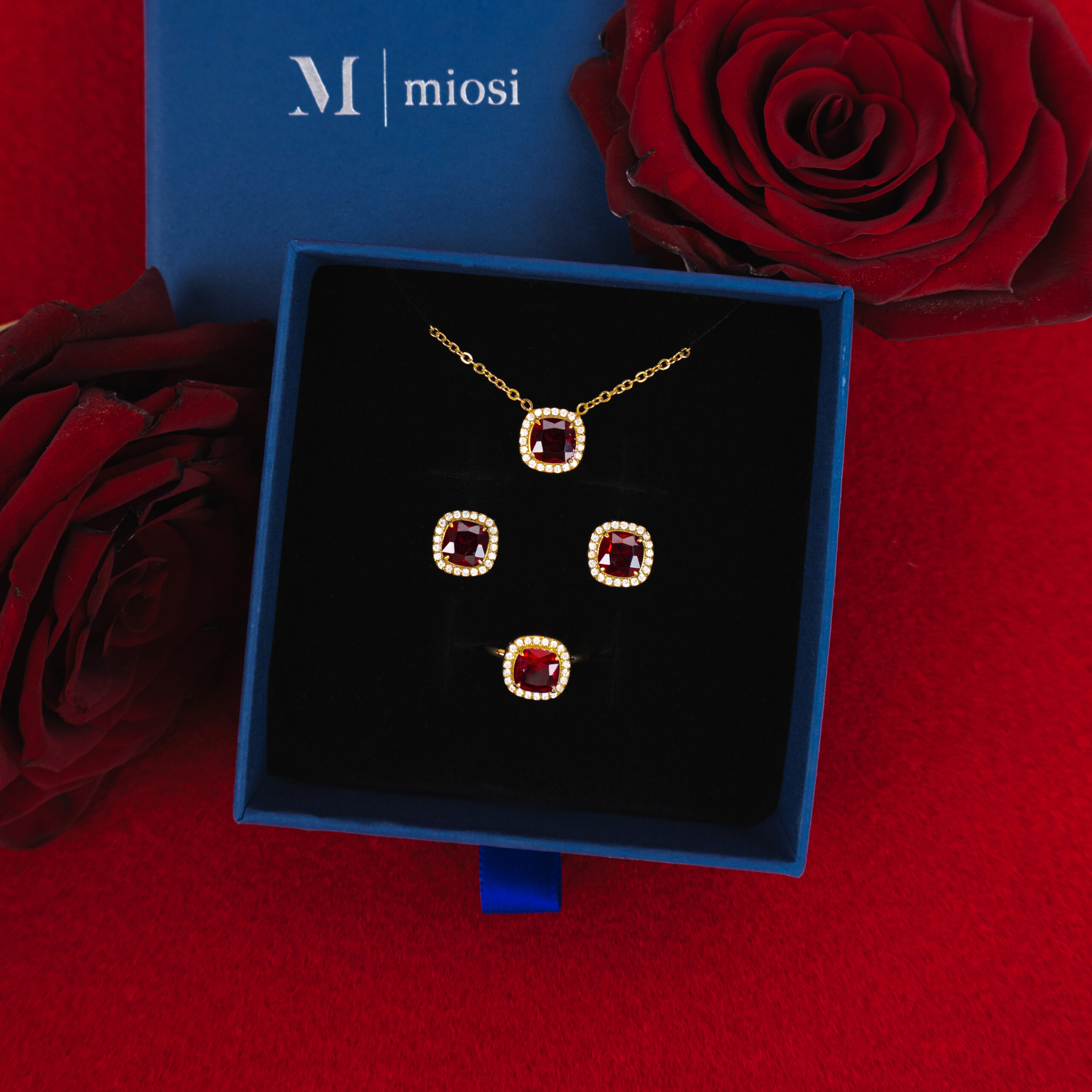 DSC04893-14-docięte